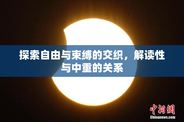探索自由与束缚的交织，解读性与中重的关系