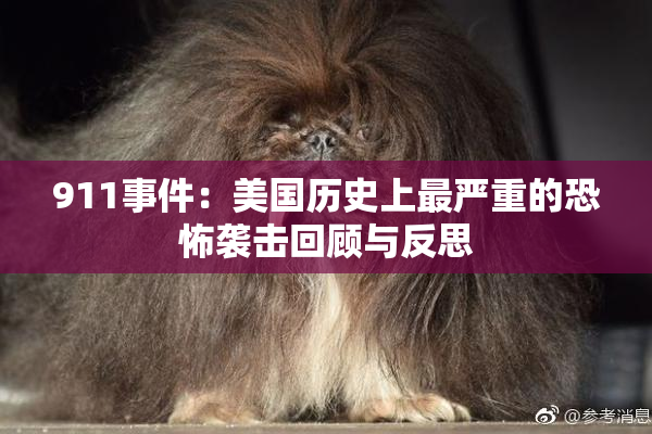 911事件：美国历史上最严重的恐怖袭击回顾与反思