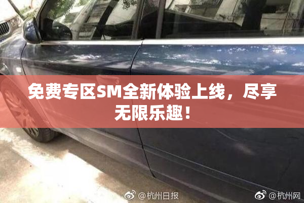 免费专区SM全新体验上线，尽享无限乐趣！