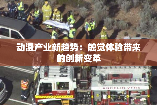动漫产业新趋势：触觉体验带来的创新变革