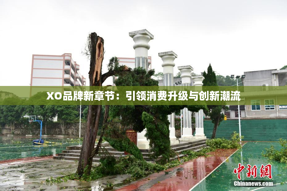 XO品牌新章节：引领消费升级与创新潮流