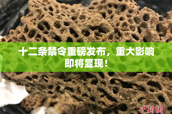 十二条禁令重磅发布，重大影响即将显现！