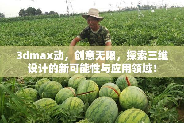 3dmax动，创意无限，探索三维设计的新可能性与应用领域！