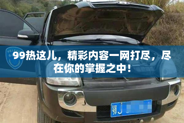 99热这儿，精彩内容一网打尽，尽在你的掌握之中！