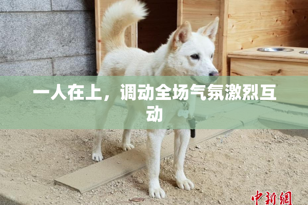 一人在上，调动全场气氛激烈互动