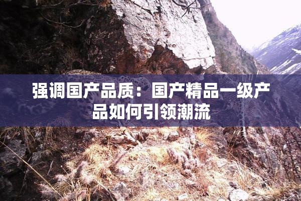 强调国产品质：国产精品一级产品如何引领潮流