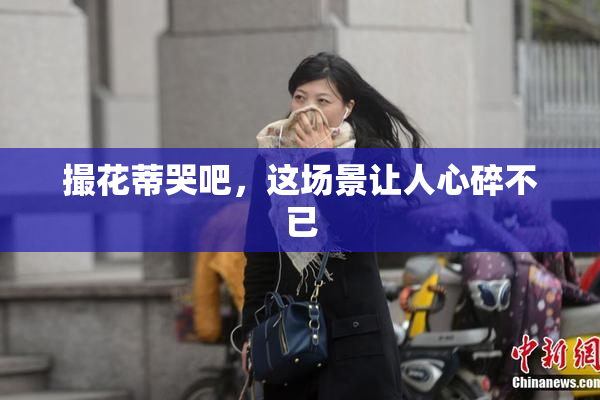 撮花蒂哭吧，这场景让人心碎不已