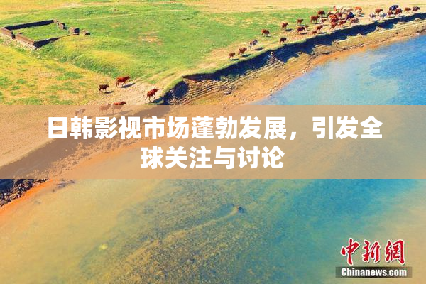 日韩影视市场蓬勃发展，引发全球关注与讨论