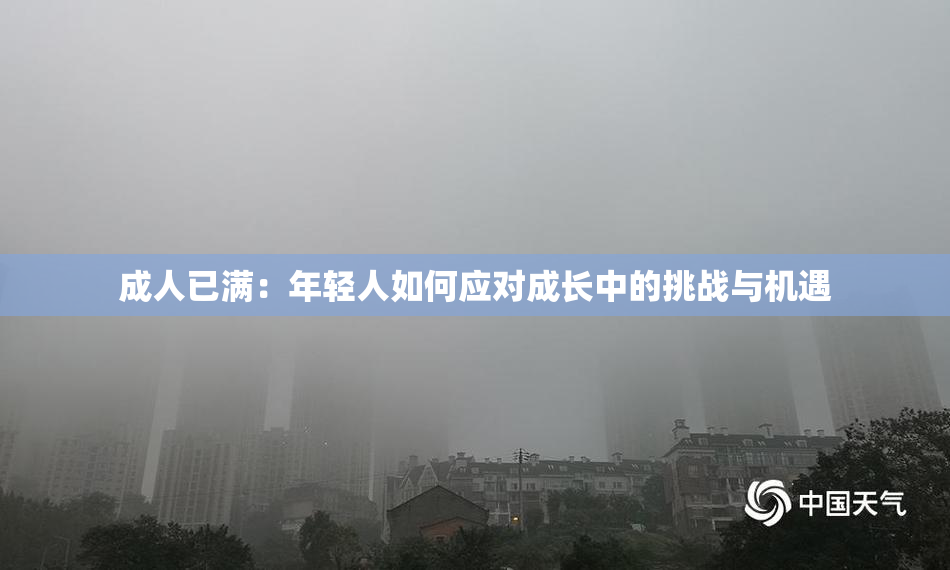 成人已满：年轻人如何应对成长中的挑战与机遇