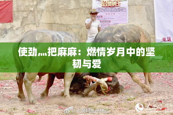 使劲灬把麻麻：燃情岁月中的坚韧与爱