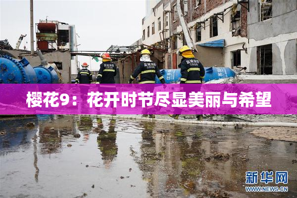 樱花9：花开时节尽显美丽与希望