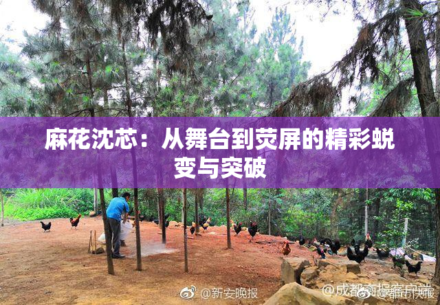 麻花沈芯：从舞台到荧屏的精彩蜕变与突破