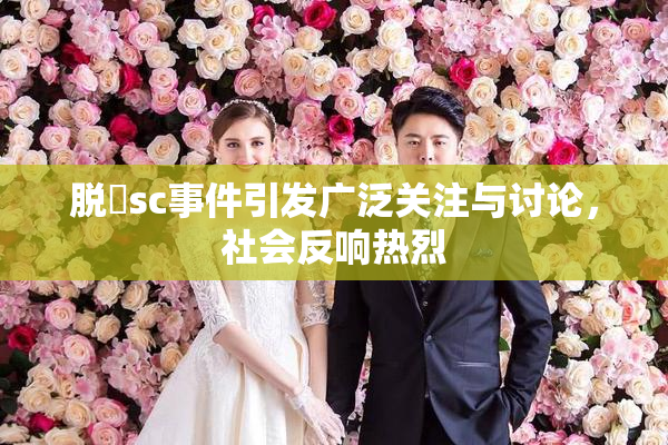 脱糞sc事件引发广泛关注与讨论，社会反响热烈