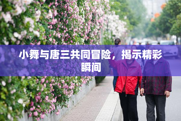 小舞与唐三共同冒险，揭示精彩瞬间