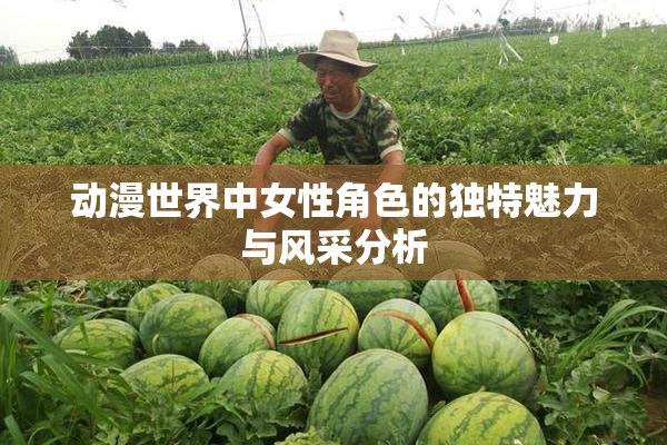 动漫世界中女性角色的独特魅力与风采分析