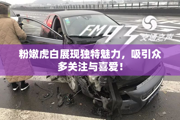 粉嫩虎白展现独特魅力，吸引众多关注与喜爱！