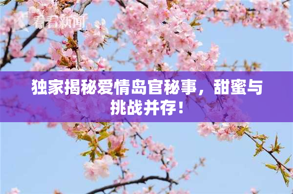 独家揭秘爱情岛官秘事，甜蜜与挑战并存！