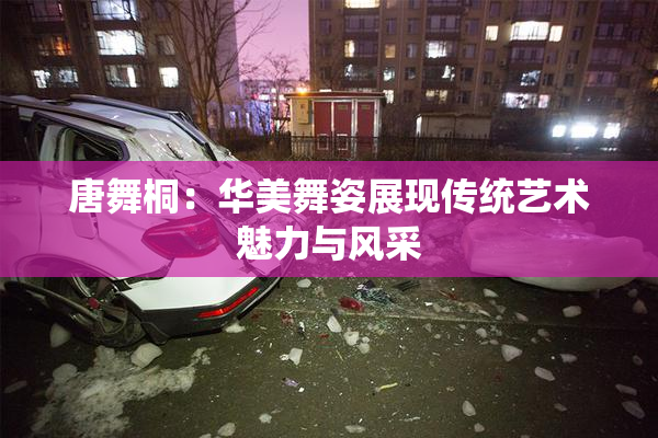 唐舞桐：华美舞姿展现传统艺术魅力与风采