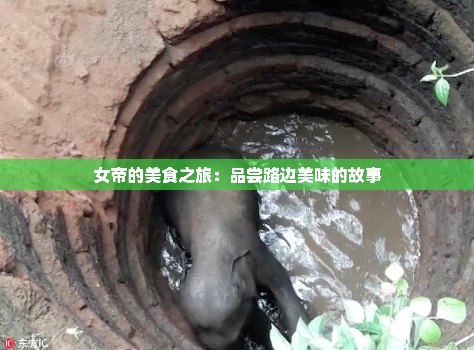 女帝的美食之旅：品尝路边美味的故事