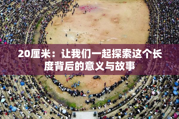 20厘米：让我们一起探索这个长度背后的意义与故事