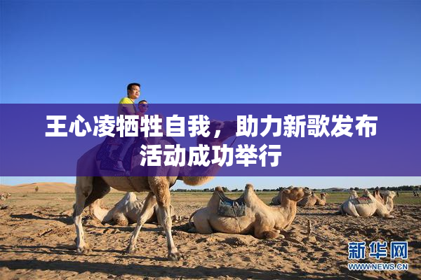 王心凌牺牲自我，助力新歌发布活动成功举行