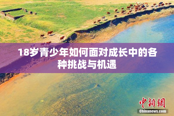 18岁青少年如何面对成长中的各种挑战与机遇
