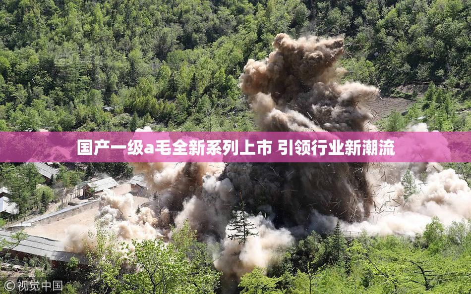 国产一级a毛全新系列上市 引领行业新潮流