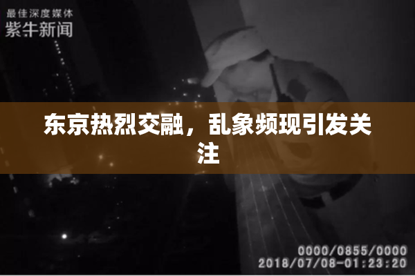 东京热烈交融，乱象频现引发关注