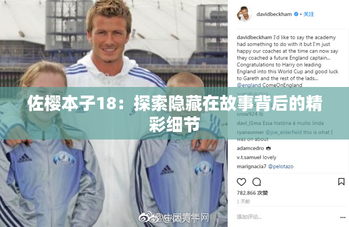 佐樱本子18：探索隐藏在故事背后的精彩细节