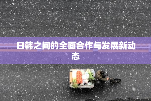 日韩之间的全面合作与发展新动态