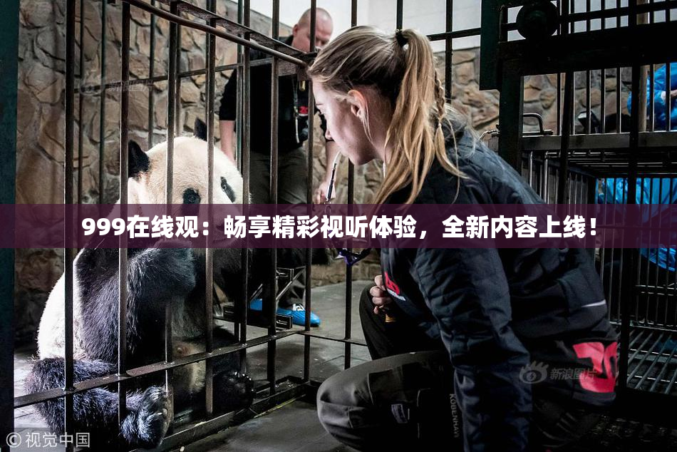 999在线观：畅享精彩视听体验，全新内容上线！