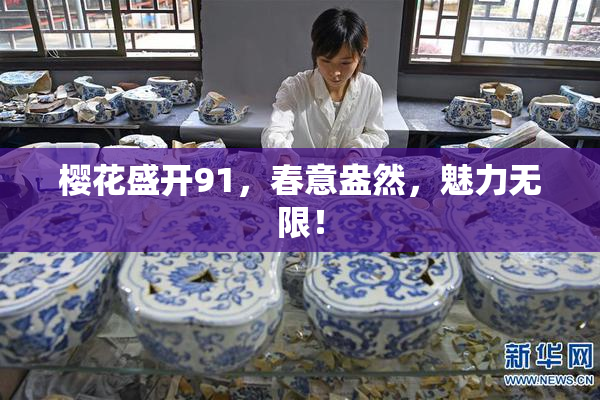 樱花盛开91，春意盎然，魅力无限！