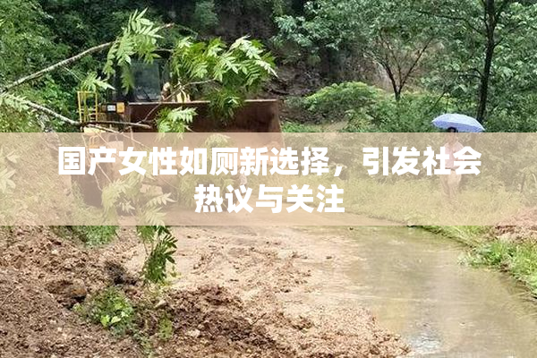 国产女性如厕新选择，引发社会热议与关注