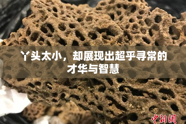 丫头太小，却展现出超乎寻常的才华与智慧