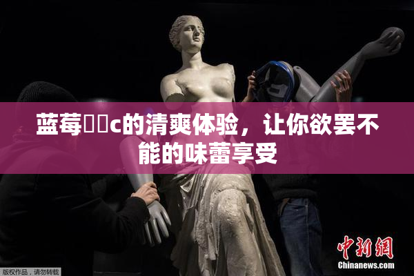 蓝莓❌‌c的清爽体验，让你欲罢不能的味蕾享受
