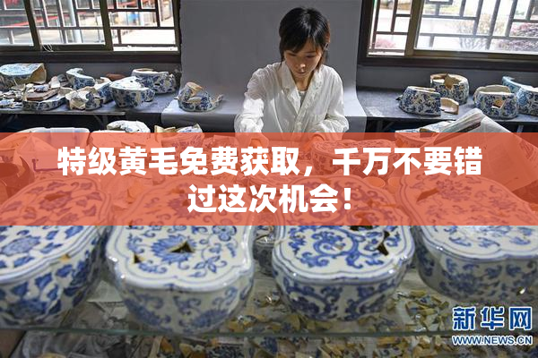特级黄毛免费获取，千万不要错过这次机会！
