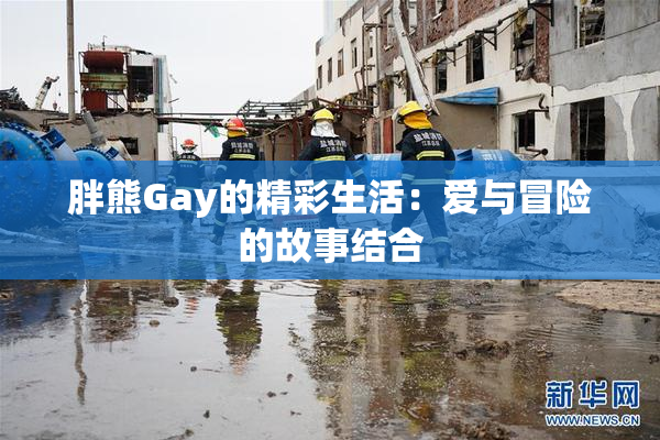 胖熊Gay的精彩生活：爱与冒险的故事结合