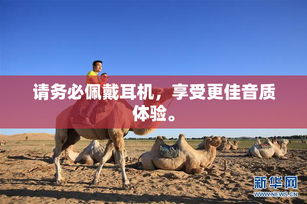 请务必佩戴耳机，享受更佳音质体验。