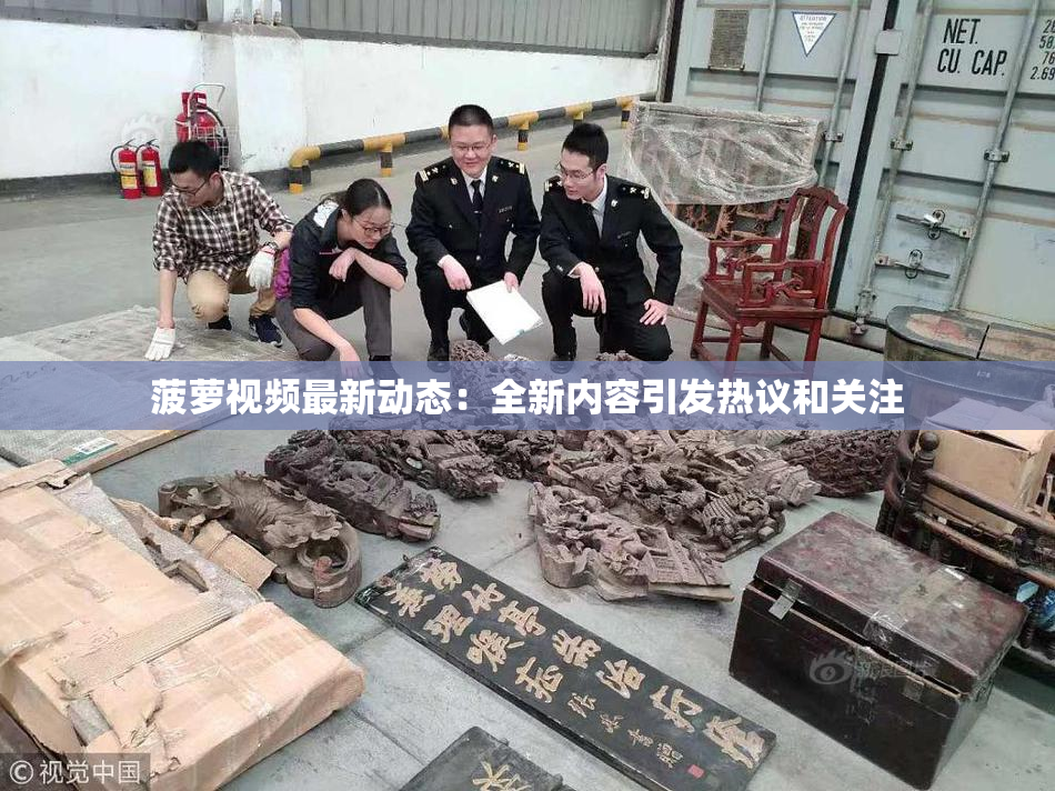 菠萝视频最新动态：全新内容引发热议和关注