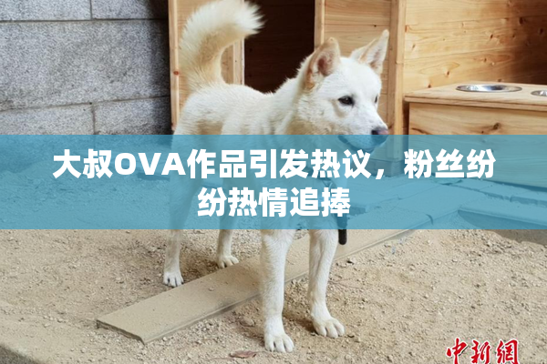 大叔OVA作品引发热议，粉丝纷纷热情追捧