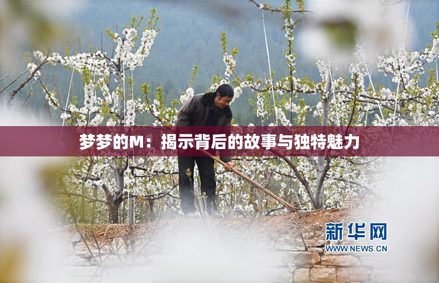 梦梦的M：揭示背后的故事与独特魅力
