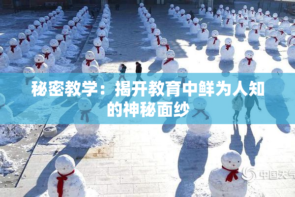 秘密教学：揭开教育中鲜为人知的神秘面纱