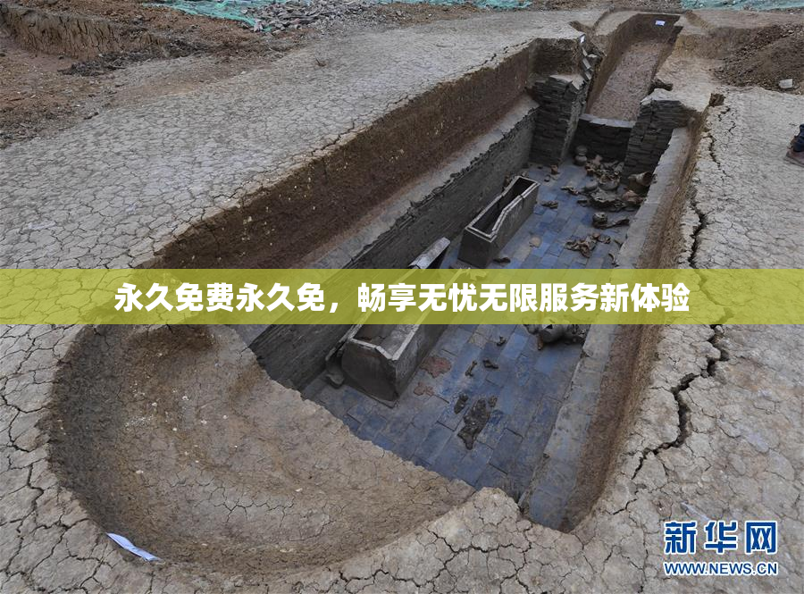 永久免费永久免，畅享无忧无限服务新体验