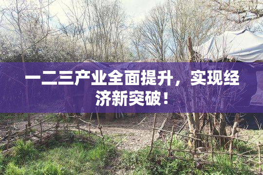 一二三产业全面提升，实现经济新突破！