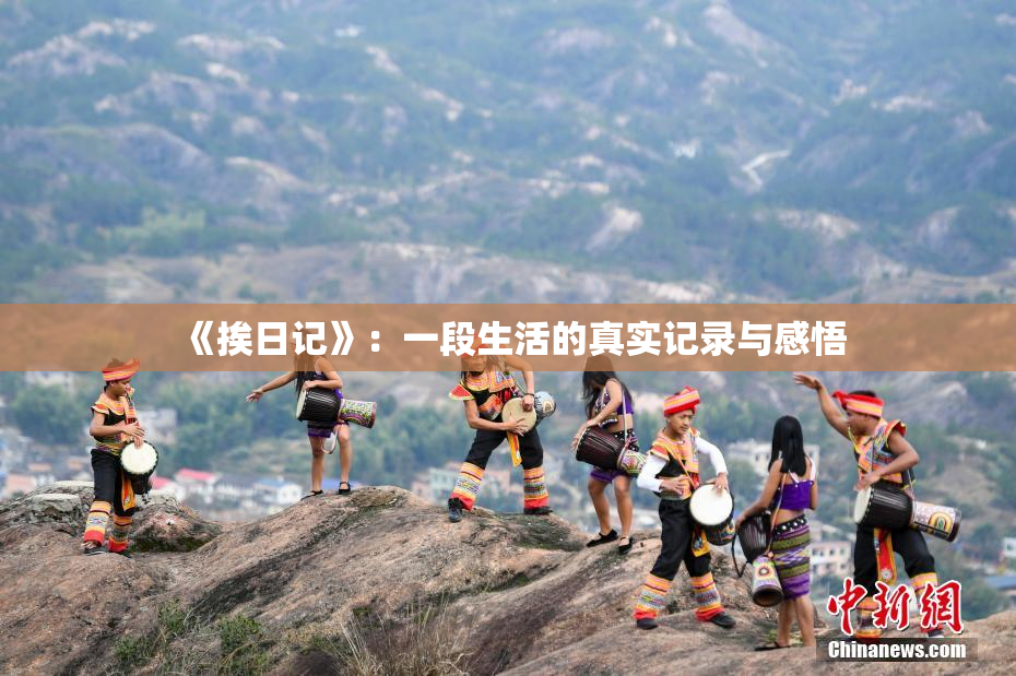 《挨日记》：一段生活的真实记录与感悟