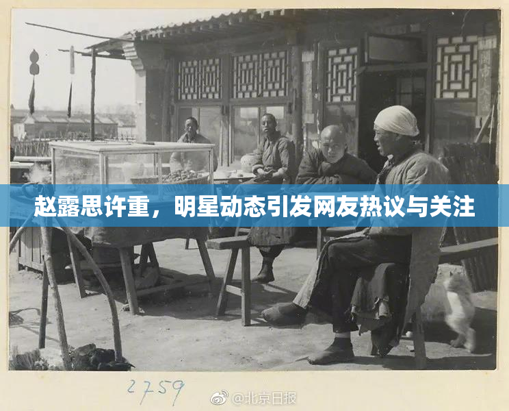 赵露思许重，明星动态引发网友热议与关注