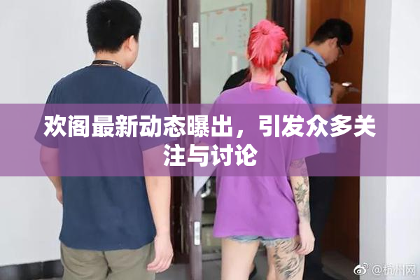 欢阁最新动态曝出，引发众多关注与讨论