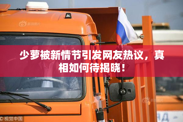 少萝被新情节引发网友热议，真相如何待揭晓！