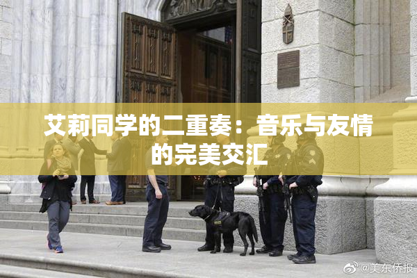 艾莉同学的二重奏：音乐与友情的完美交汇