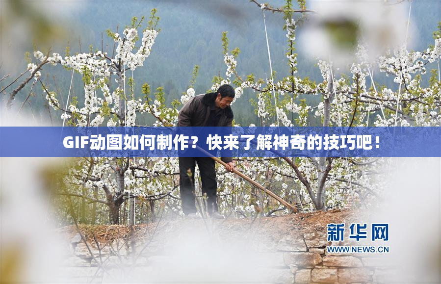 GIF动图如何制作？快来了解神奇的技巧吧！